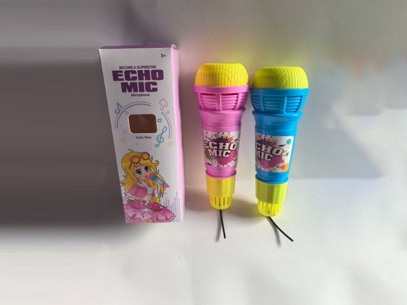 Echo Microphone