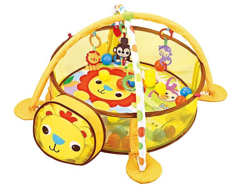 Lion Play Mat