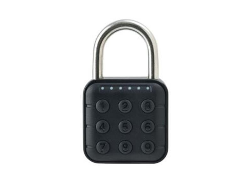 Password Lock