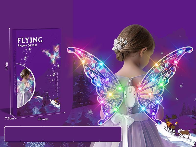 Flying Wings