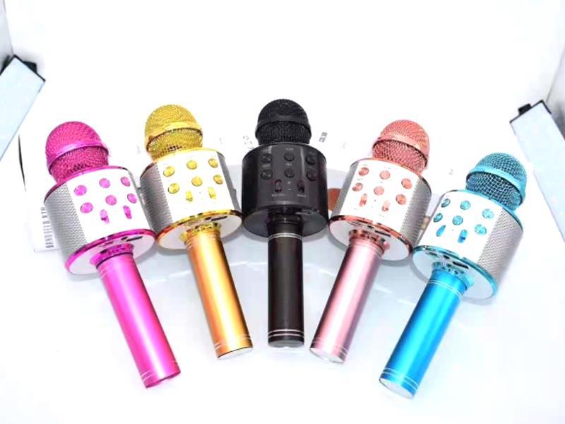 Microphone Toy