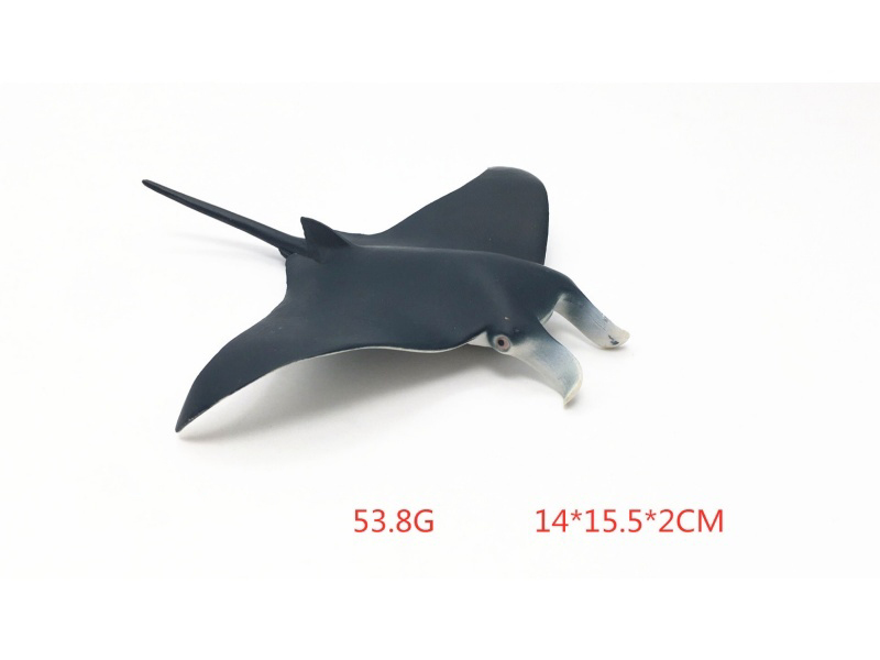 New Manta Ray
