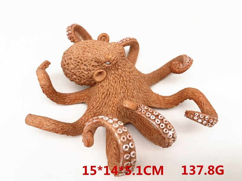 New Octopus