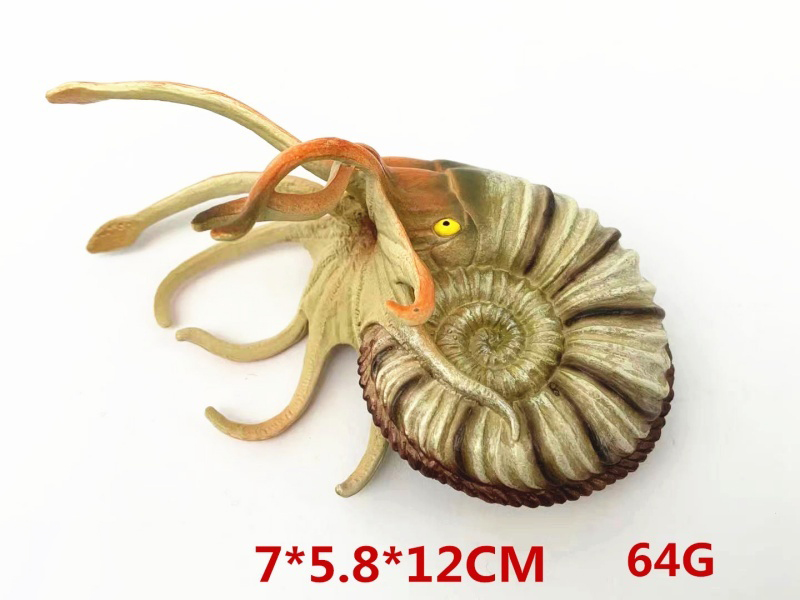 Ammonitite Snail