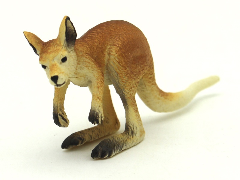 Little Kangaroo