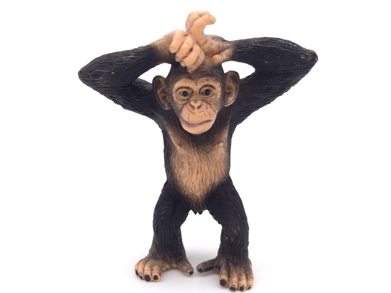 Standing Chimpanzee