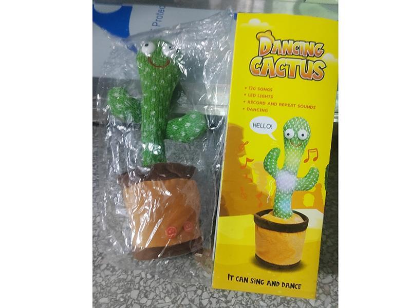 B/O Cactus + USB