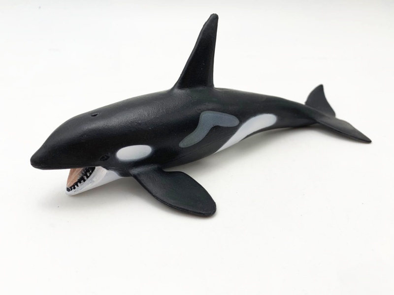 Orca