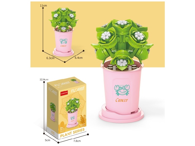 Cancer Ilya 55Pcs