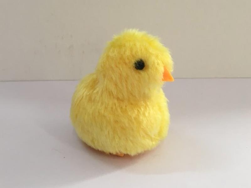 Induction Chick