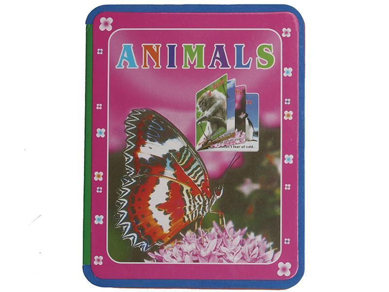 Educational Toy