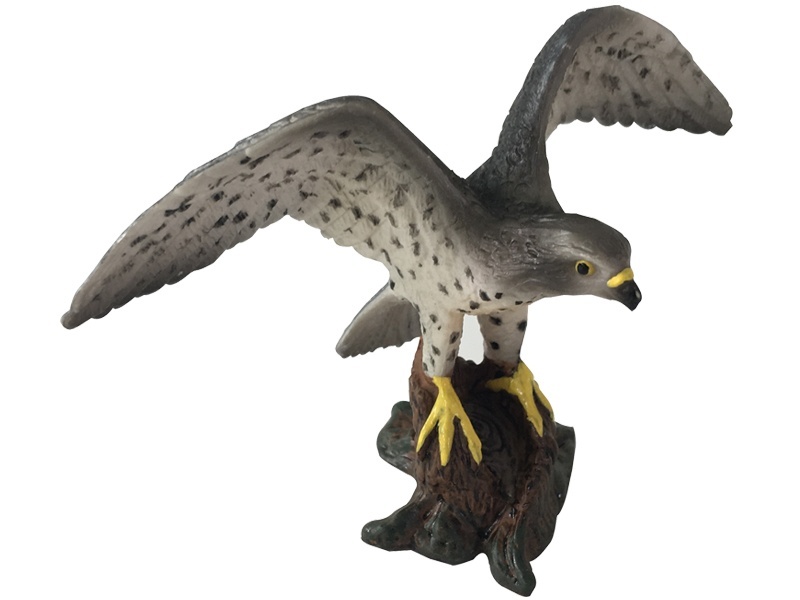 Peregrine Falcon