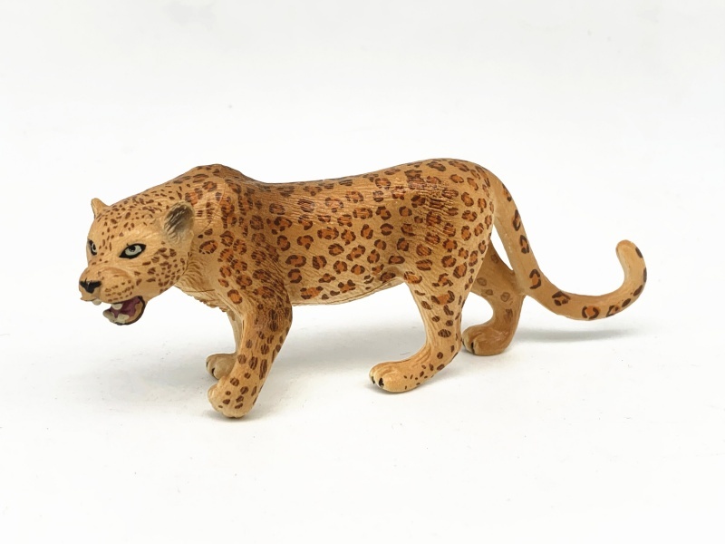 The Jaguar Roars
