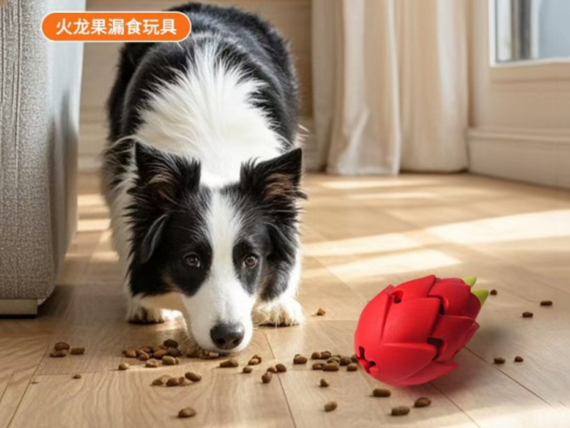 A Red Pitaya-Shaped Dog Toy That Leaks Food