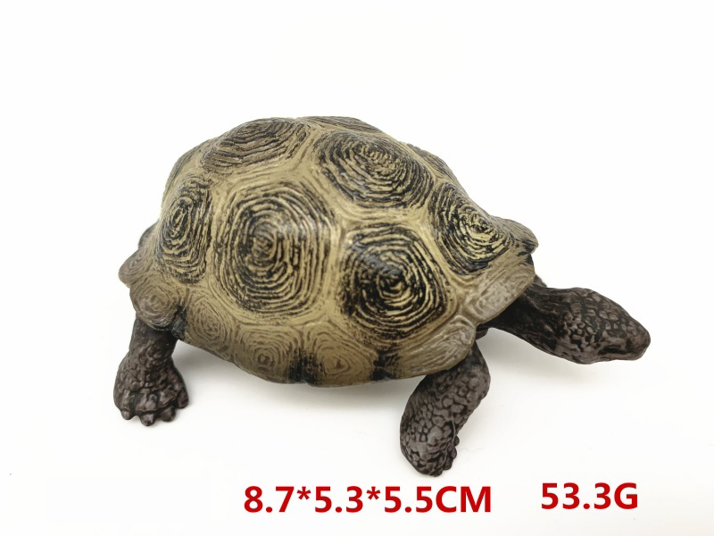 Dark Tortoise