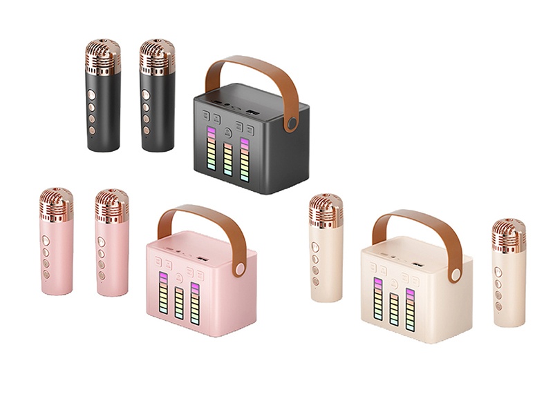 Bluetooth Karaoke Speaker(Double Microphone)