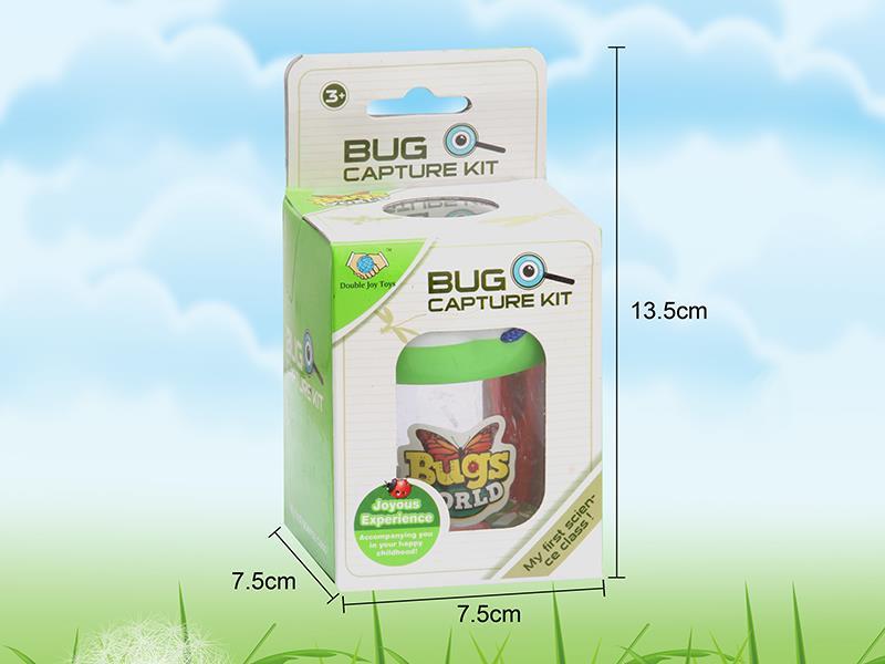 Insect Toy