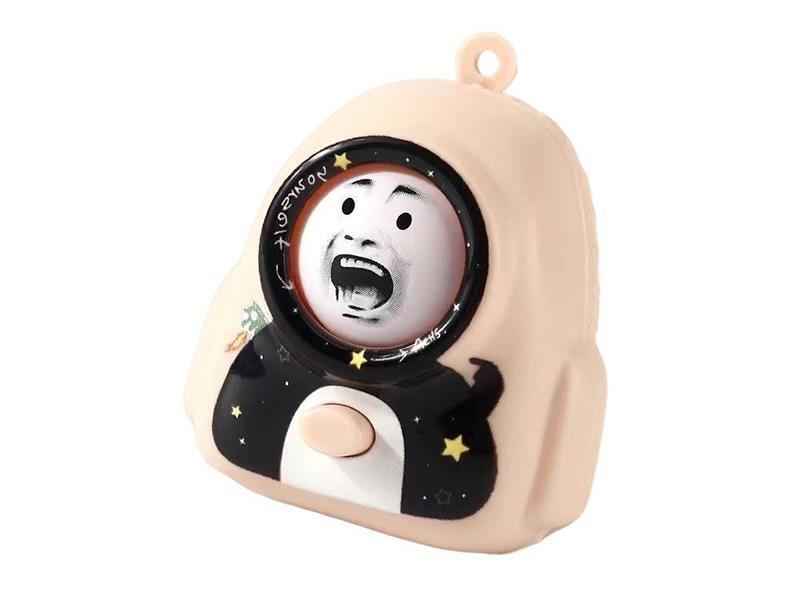 Face-Changing Toy