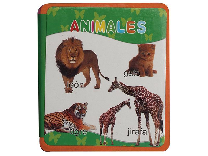 Educational Toy
