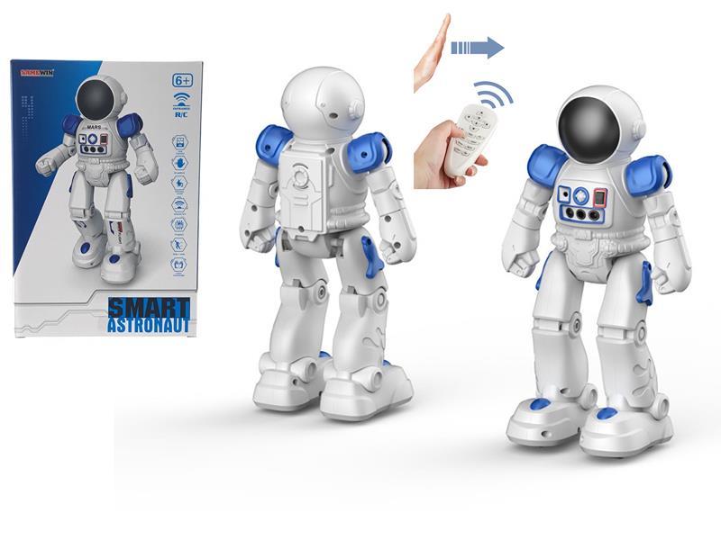 R/C Robot