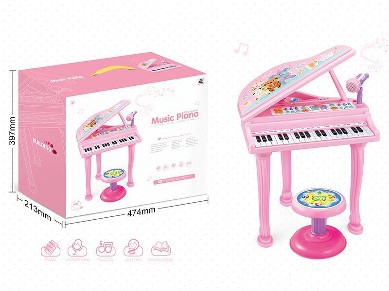 Electronic Organ