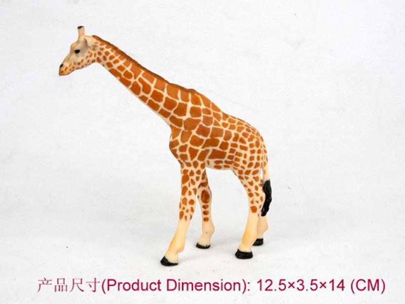 Middle Giraffe