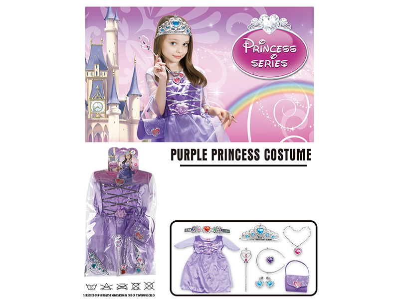 Purple Princess Dress