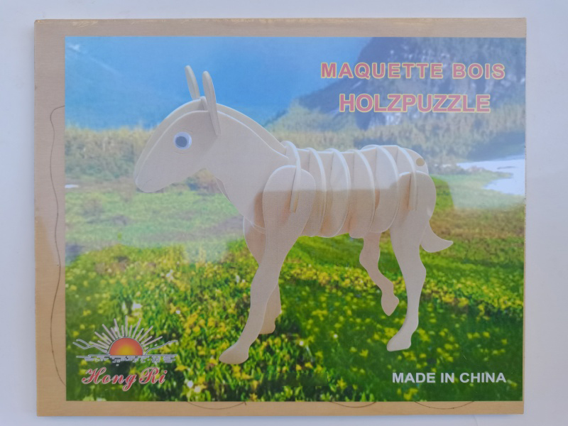 3D Wooden Puzzle