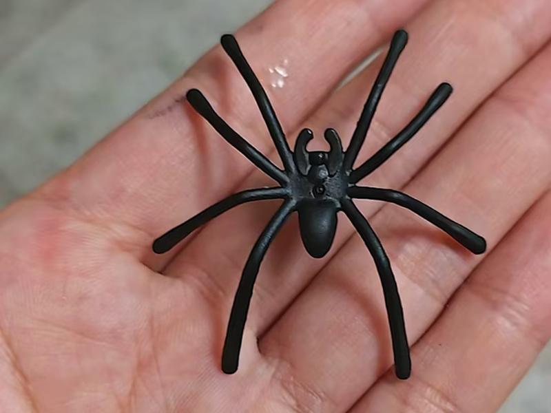 Spider Toy
