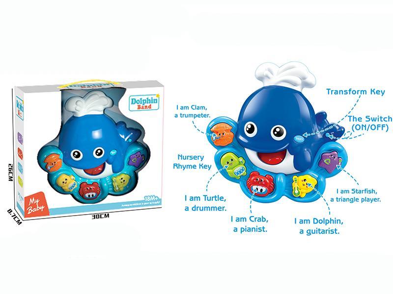 dolphin band Toy