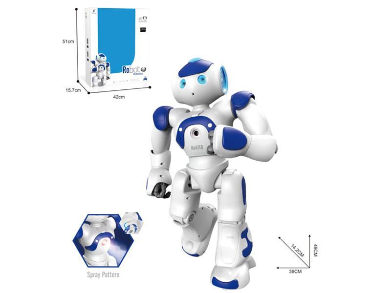 Intelligent Robot
