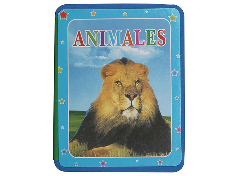 Educational Toy