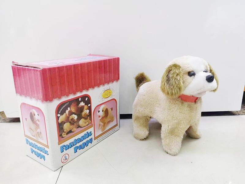 B/O Puppy