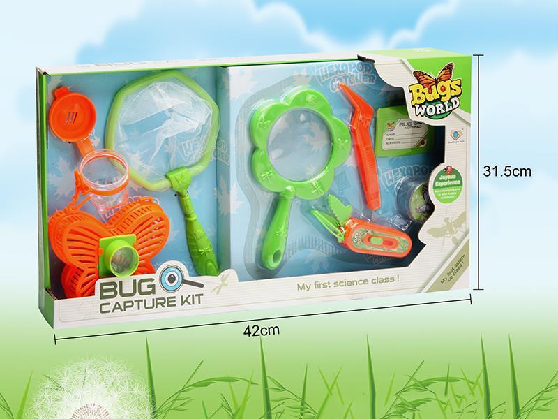 Insect Toy