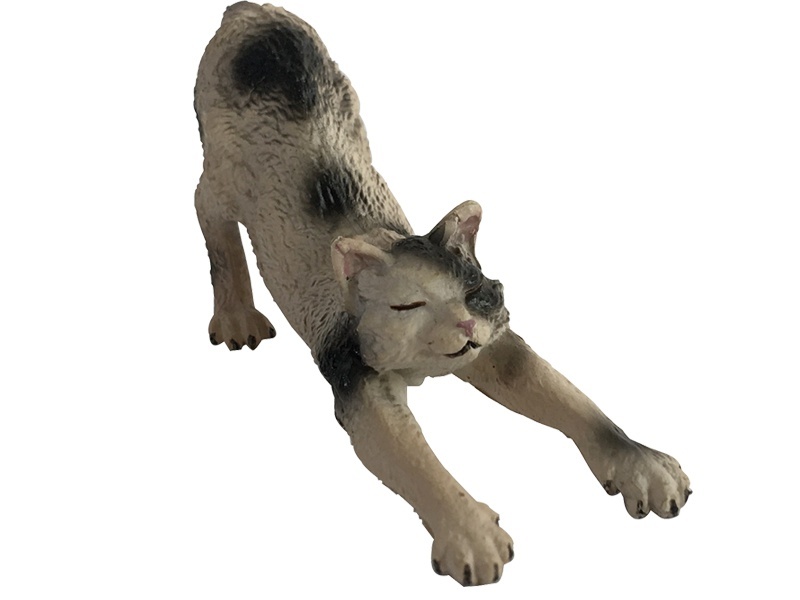 Lazy Cat
