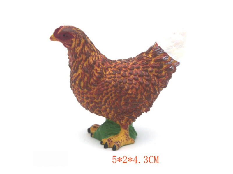 Hen