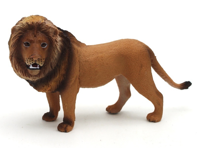 Male Lion