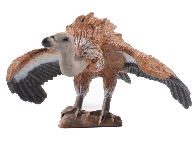 Vulture