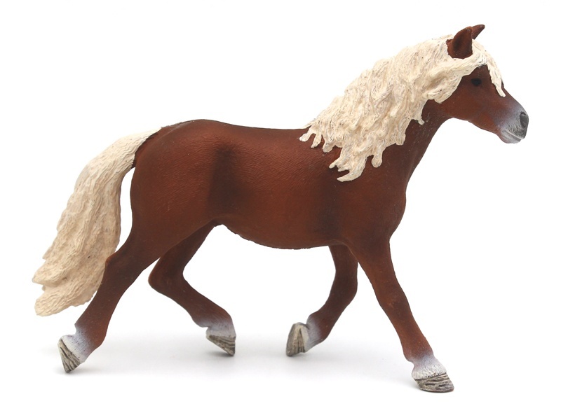 Haverin Stallion