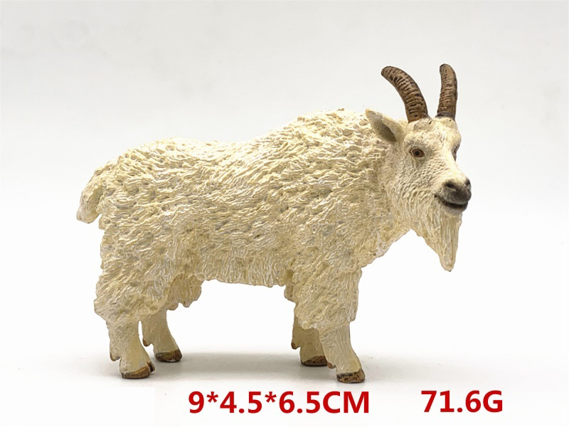 Snow Sheep