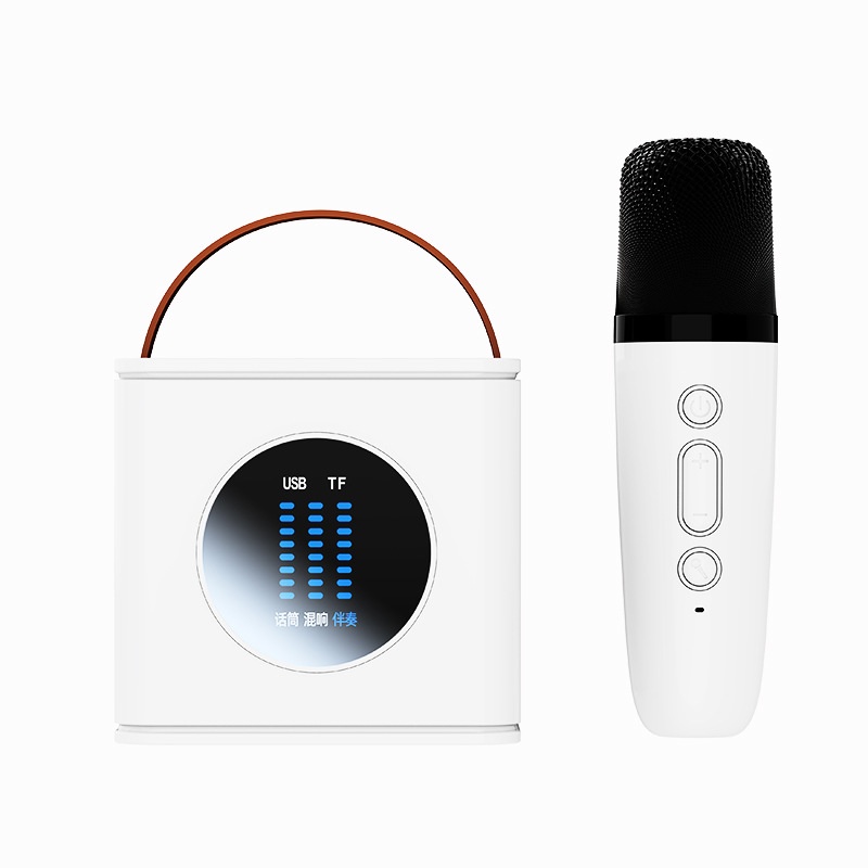 Wireless Bluetooth Karaoke Speaker Microphone Set((Single Microphone))