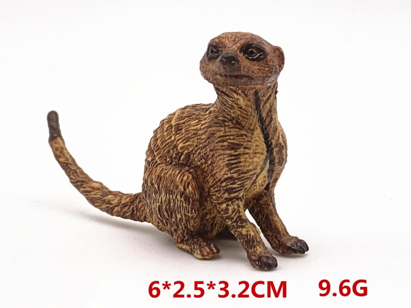 Sitting Meerkat