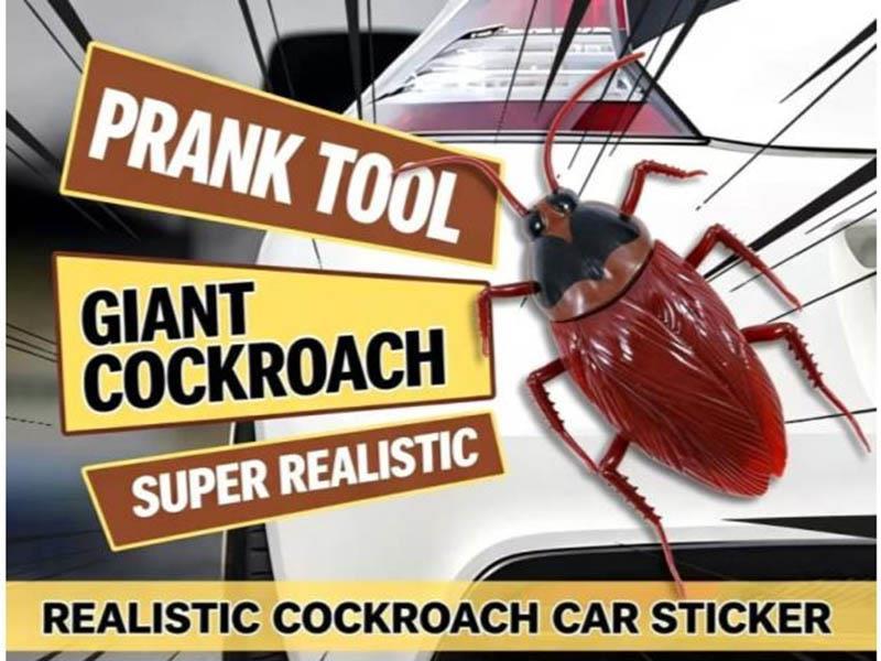 Realistic Cockroach Car Sticker