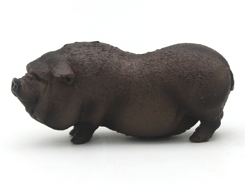 Big-Bellied Pig
