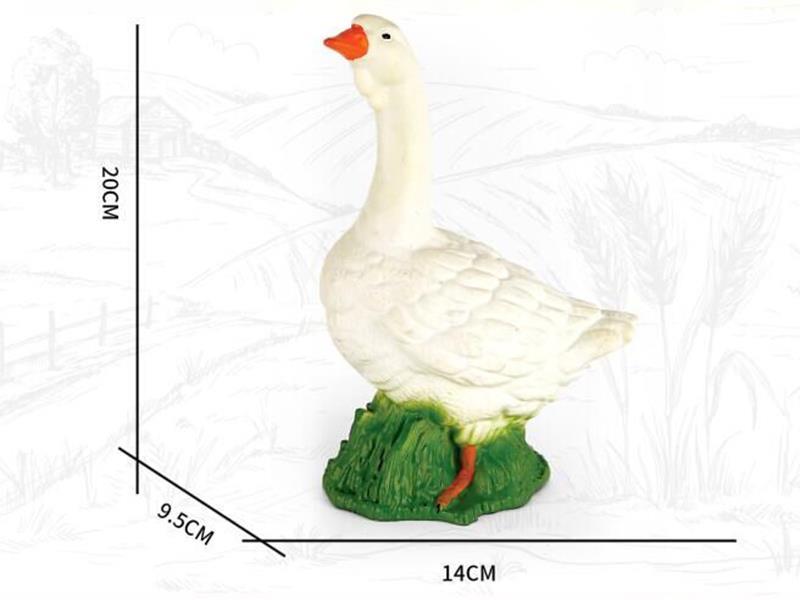 Poultry Model