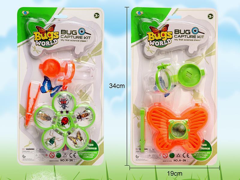 Insect Toy