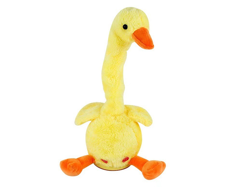 Swinging Duck