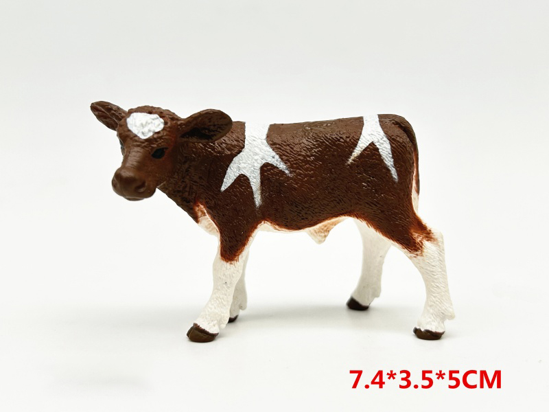 Brown Holstein Calves
