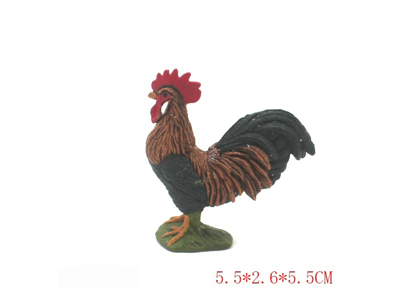 Rooster