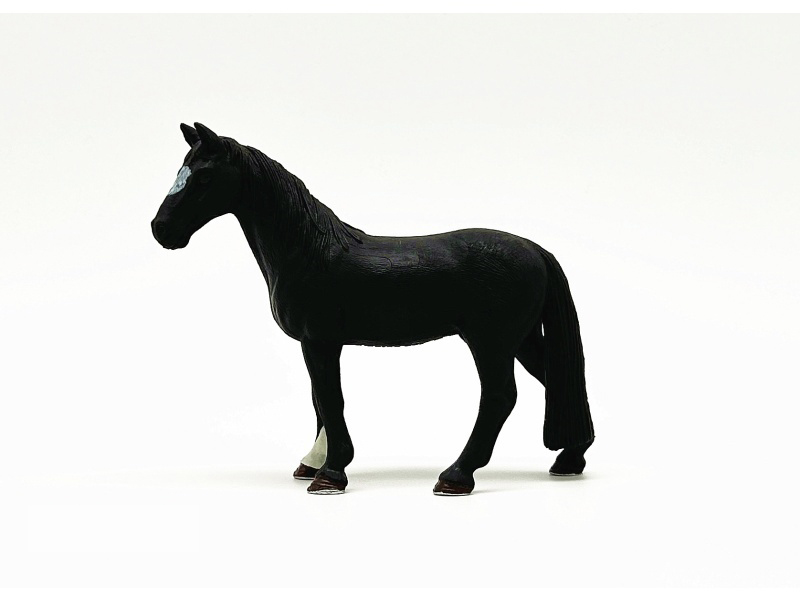 Tennessee Walker Stallion